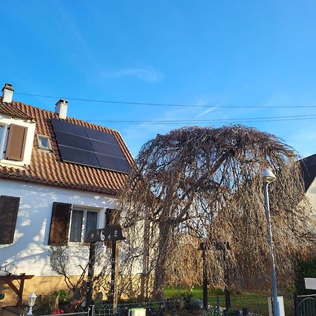 Studio Colmar Zewnętrze zdjęcie