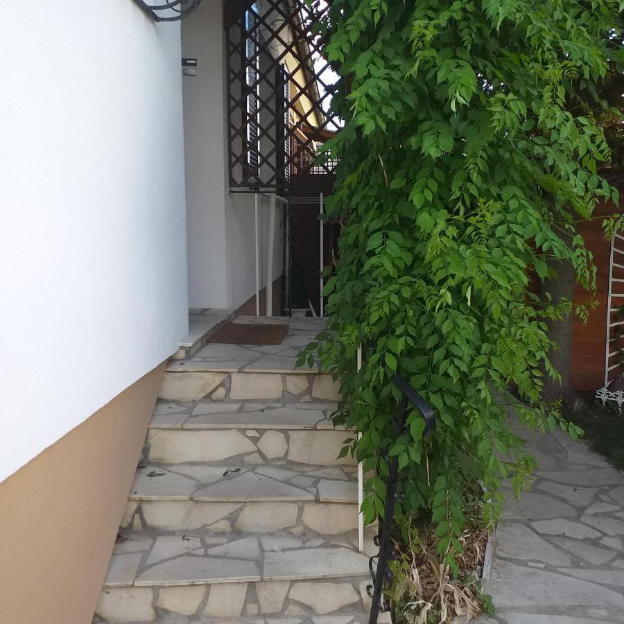 Studio Colmar Zewnętrze zdjęcie